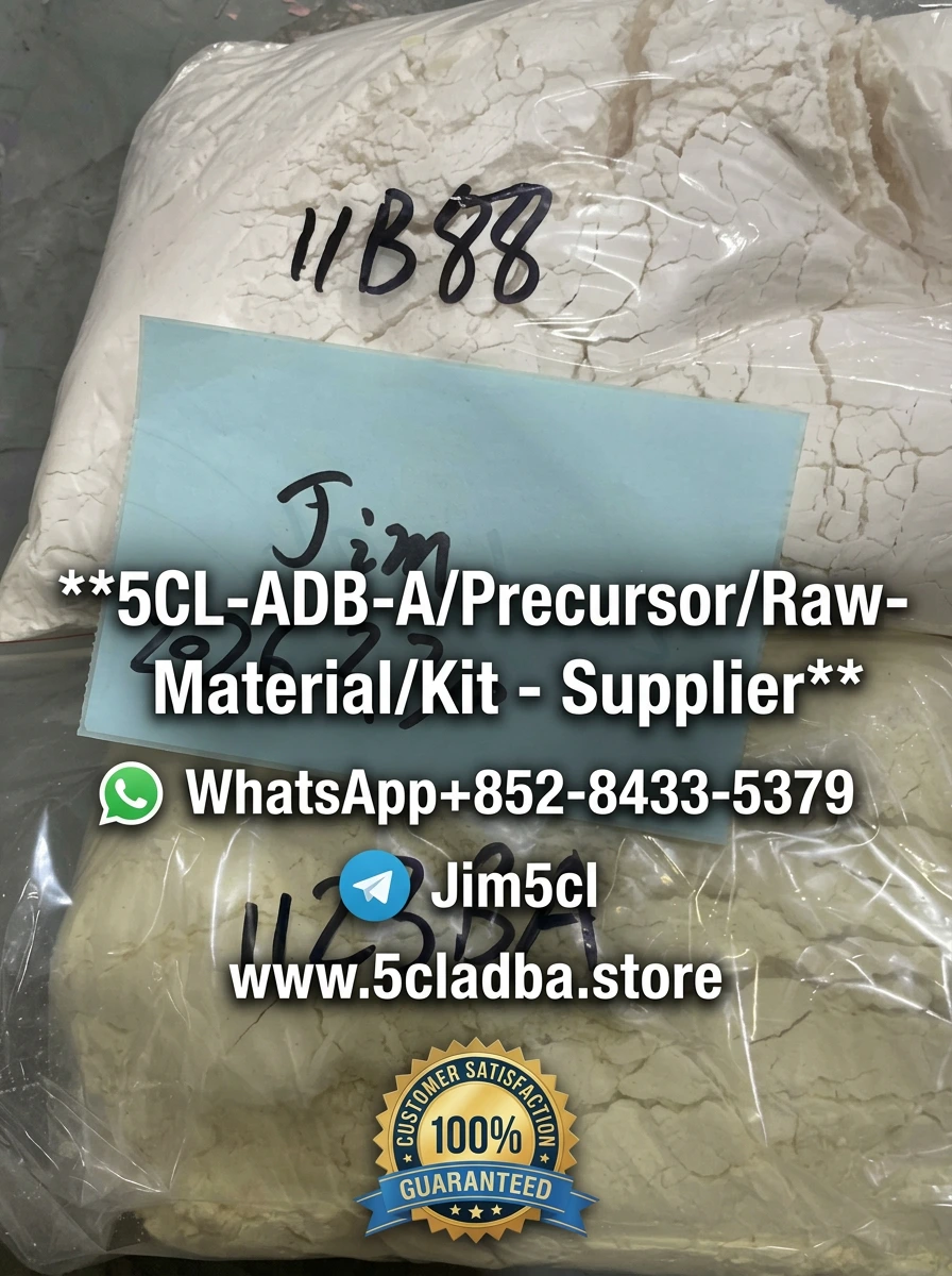 Research grade 5CL-ADBA precursor 99.9% purity - international laboratory certified - bulk kg quantities - discreet global shipping - analytical documentation included - contact for research pricing